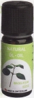 Basil Oil 10ml