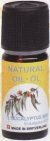 Eucalyptus Oil 10ml